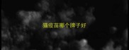 猫疫苗哪个牌子好