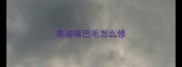 泰迪嘴巴毛怎么修