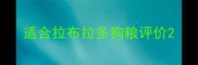 适合拉布拉多狗粮评价