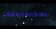 我家母拉布拉多很凶