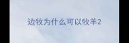 边牧为什么可以牧羊