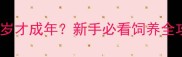 马犬1岁才成年新手必看饲养全攻略