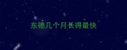 东德几个月长得最快