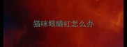 猫咪眼睛红怎么办