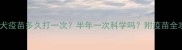 金毛犬疫苗多久打一次半年一次科学吗附疫苗全攻略