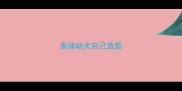 泰迪幼犬自己造型