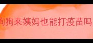 狗狗来姨妈也能打疫苗吗