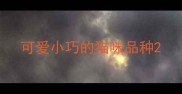 可爱小巧的猫咪品种