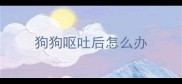 狗狗呕吐后怎么办