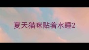 夏天猫咪贴着水睡