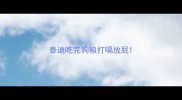 泰迪吃完狗粮打嗝放屁