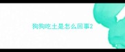 狗狗吃土是怎么回事