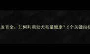 金毛幼犬毛量发育全如何判断幼犬毛量健康5个关键指标与饲养指南