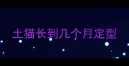 土猫长到几个月定型