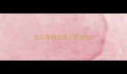 怎么看幼犬是不是边牧