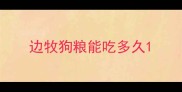 边牧狗粮能吃多久