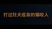 打过狂犬疫苗的猫咬人