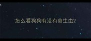 怎么看狗狗有没有寄生虫