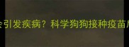 犬瘟热疫苗失效会引发疾病科学狗狗接种疫苗后如何预防犬瘟热