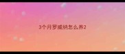 3个月罗威纳怎么养