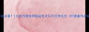 宠物美容必看5大技巧教你辨别染色犬只与天然毛色附健康养护指南