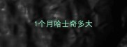 1个月哈士奇多大