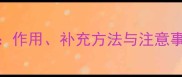 宠物维生素B全攻略作用补充方法与注意事项附选品清单