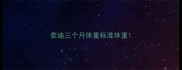 泰迪三个月体重标准体重