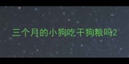 三个月的小狗吃干狗粮吗