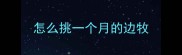 怎么挑一个月的边牧