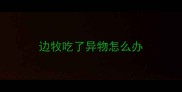 边牧吃了异物怎么办