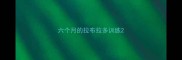 六个月的拉布拉多训练