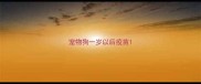 宠物狗一岁以后疫苗