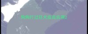 狗狗打过狂犬疫苗后蔫
