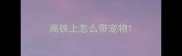 高铁上怎么带宠物