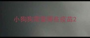 小狗狗需要哪些疫苗