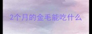 2个月的金毛能吃什么