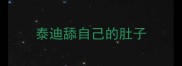 泰迪舔自己的肚子