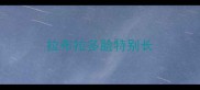 拉布拉多脸特别长