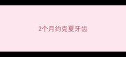 2个月约克夏牙齿