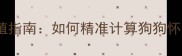 母犬发情周期与科学繁殖指南如何精准计算狗狗怀孕时间及培育健康幼崽