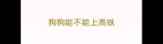 狗狗能不能上高铁
