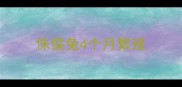 侏儒兔4个月繁殖
