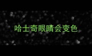 哈士奇眼睛会变色