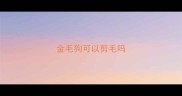 金毛狗可以剪毛吗