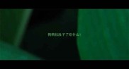 狗狗拉肚子了吃什么
