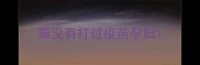 猫没有打过疫苗孕妇