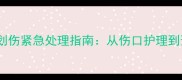 金毛犬爪子划伤紧急处理指南从伤口护理到预防措施全