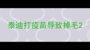 泰迪打疫苗导致掉毛