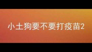 小土狗要不要打疫苗